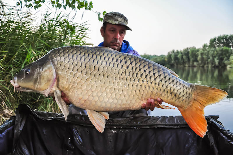 Alexandru Lunka_Varlaam_18,3kg.jpg