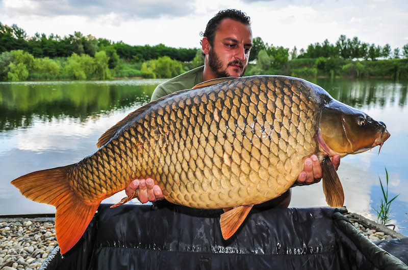 Alexander Tenishev_Varlaam_20,5kg_A4.jpg