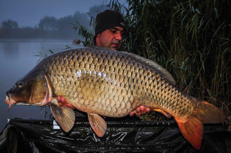 Costel Preotescu_Var;aam_20,6kg_A7.jpg