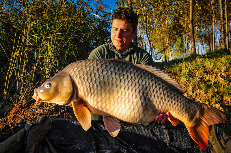 Florin Iordache_Varlaam_20,7kg_A6.jpg