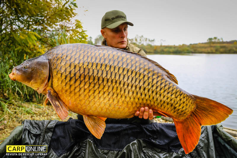 Vlad Pavlovici_Varlaam_21,7kg_A7.jpg