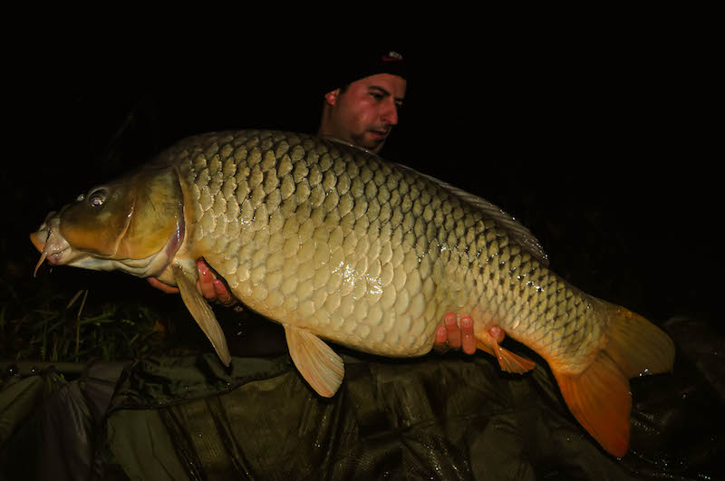 Plamen Cherniradev_Varlaam_21,5kg_A8.jpg