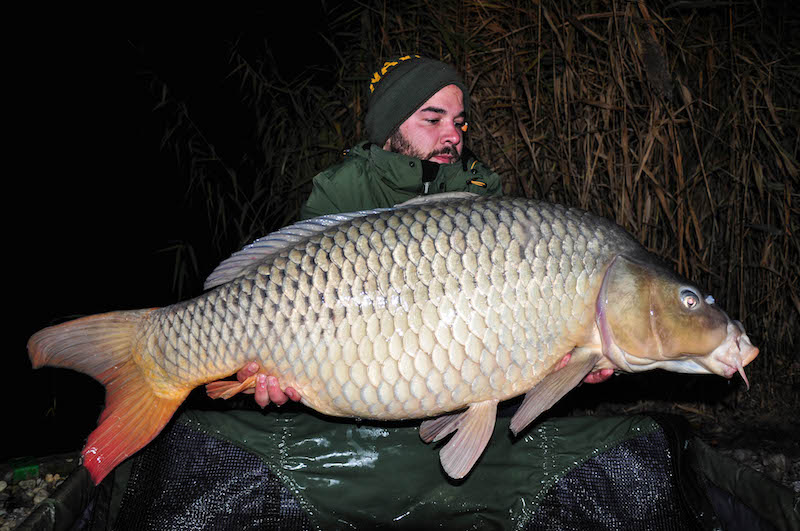 Cristian Pinzaru_Varlaam_21,7kg_A6.jpg