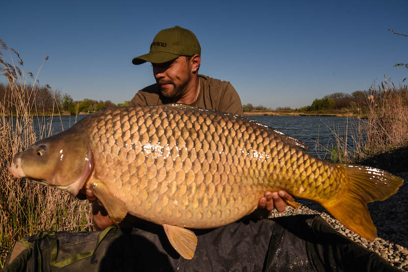 Cristian Mihalcea_Varlaam_20kg_B12.jpg