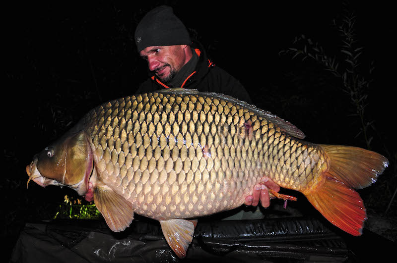 Cristian Pesterau_Varlaam_21,1kg_B9.jpg