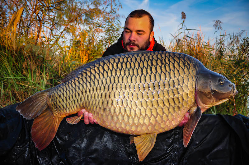 Cristian Pinzaru_Varlaam_19,4kg_B9.jpg