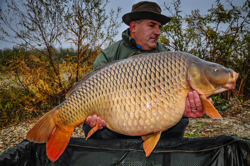 Claudiu Dumitru_Varlaam_20,5kg_B9.jpg