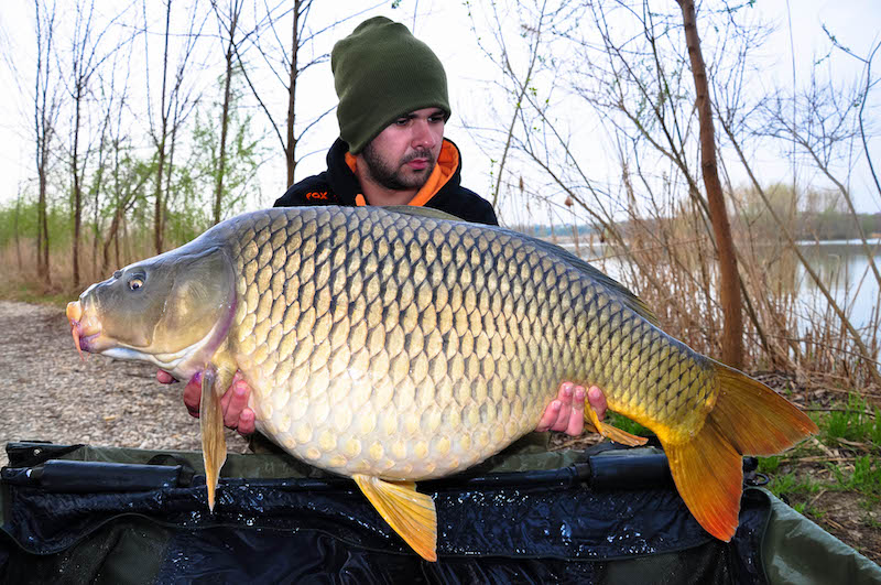 Adrian Glavan_Varlaam_18,2kg_B8.jpg