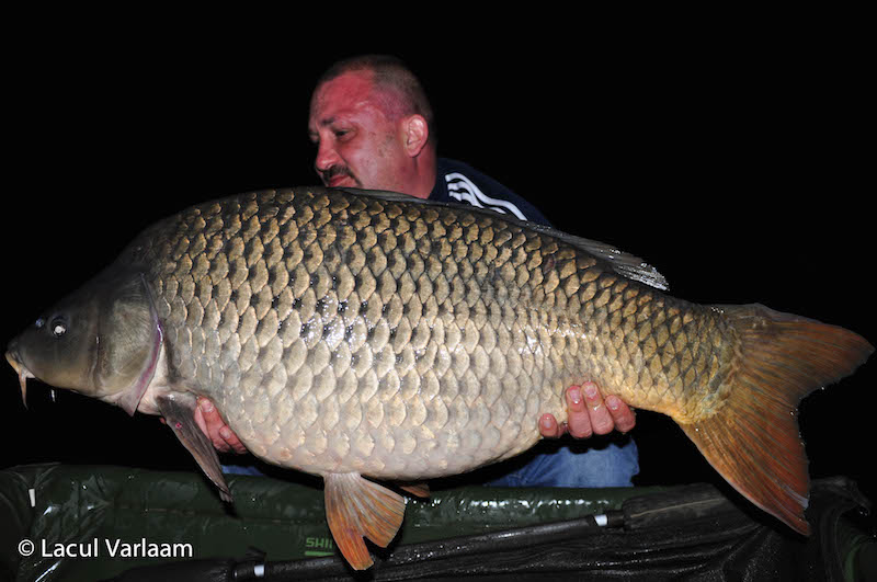 Stefan Dumitru - 20,5kg, stand A4.jpg