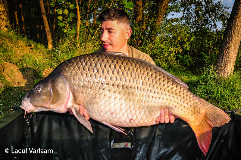 Ionut Mihai - 22,5kg, stand A2.jpg