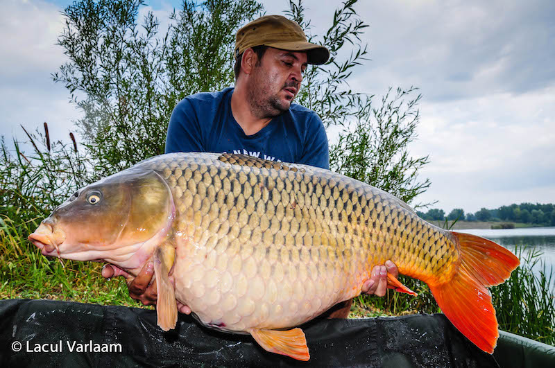 Marius Buturoaga - 21kg, stand B15.jpg