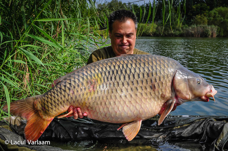 Adrian Draica - 27,7kg, stand A4.jpg