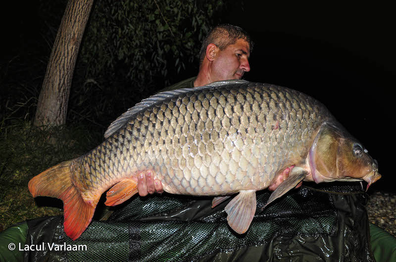 Claudiu Dumitru - 22,6kg, stand A2.jpg