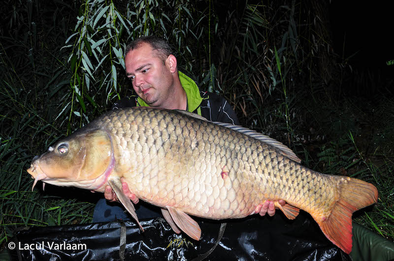 Paul Matei - 22,6kg, stand A7.jpg