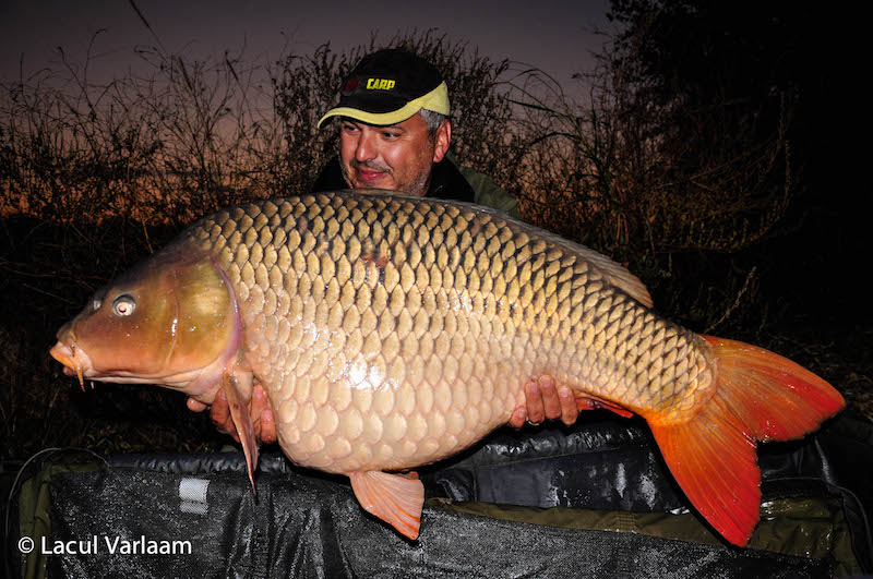 Laurentiu Stanica - 21,3kg, stand B13.jpg