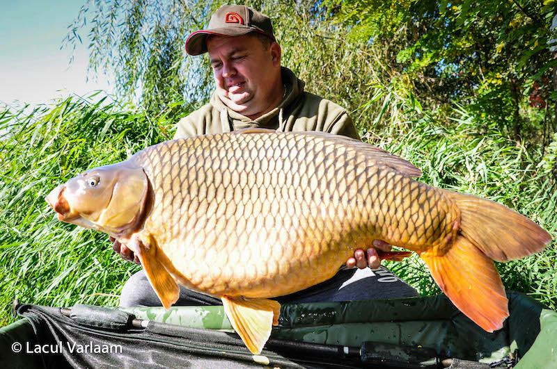 Viorel Mihaescu - 21,2kg, stand B8.jpg