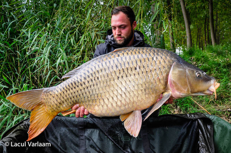 Elbert Stan - 20,5kg, stand A6.jpg