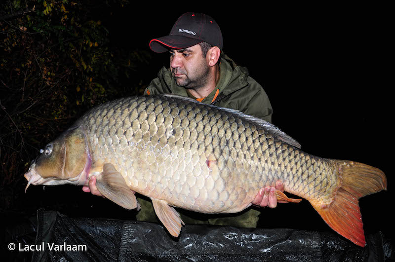 Radu Parvu - 23,5kg, stand A6.jpg