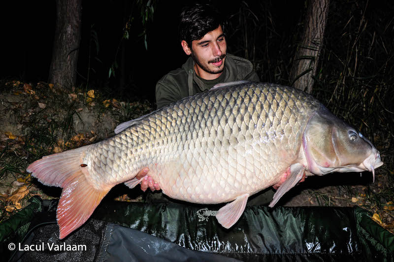 Catalin Mircea - 26,4kg, stand A8.jpg