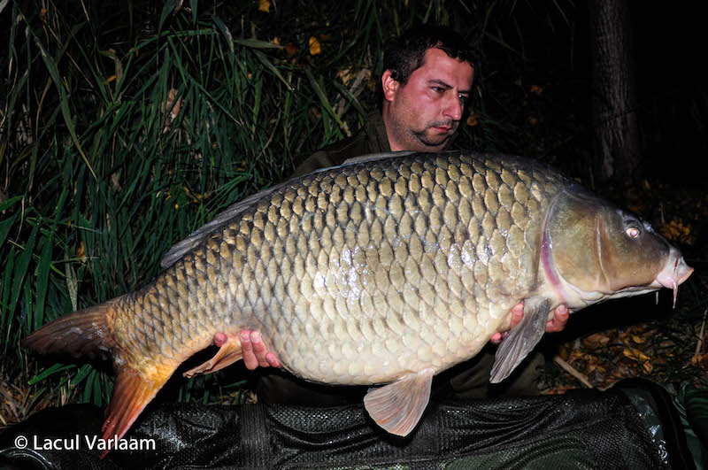 Plamen Cherniradev - 20,8kg, stand A9.jpg