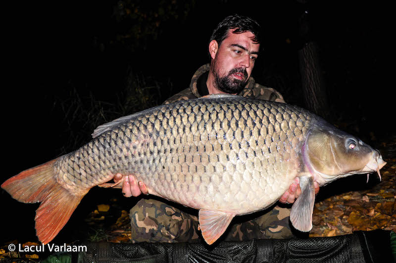 Dimitar Zubev - 20kg, stand A7.jpg