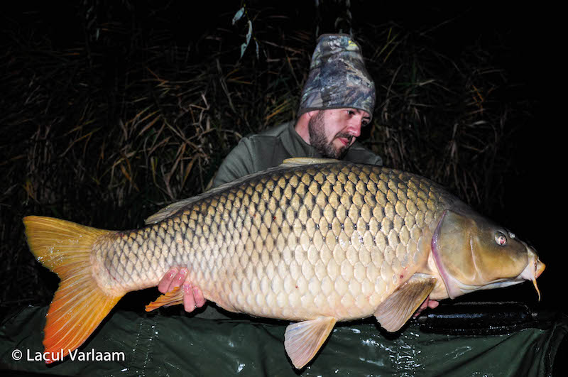 Laurentiu Iagaru - 20,4kg, stand B4.jpg