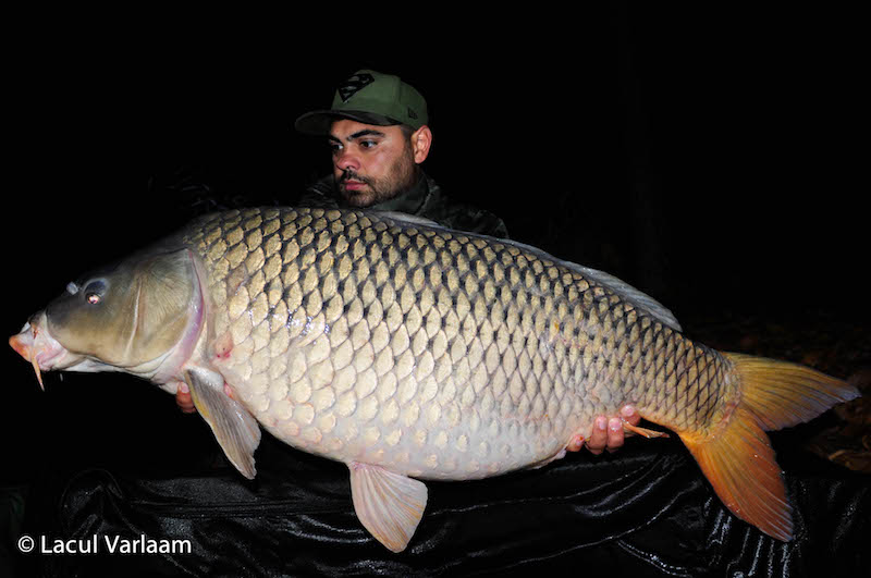 Danut Sarbu - 20,7kg, stand A7.jpg