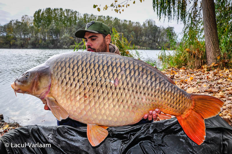 Danut Sirbu - 27,7kg, stand A7.jpg