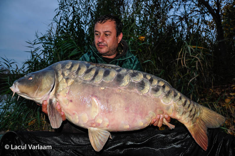 Iulian Ciufu - 19,5kg, stand A6.jpg