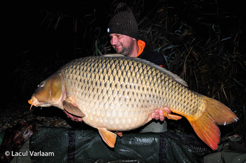 Adrian Botin - 19kg, stand B7.jpg