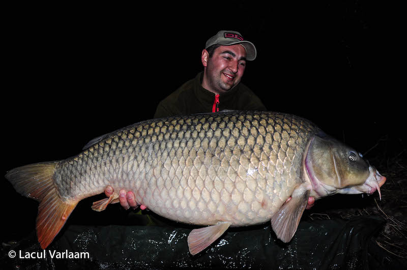 Cristian Andrei - 21kg, stand A4.jpg