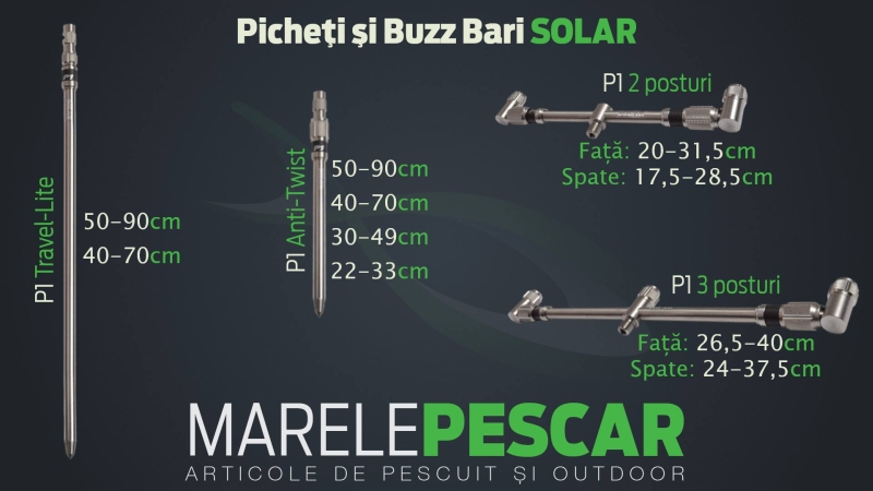 Picheti si Buzz Bari Solar.jpg