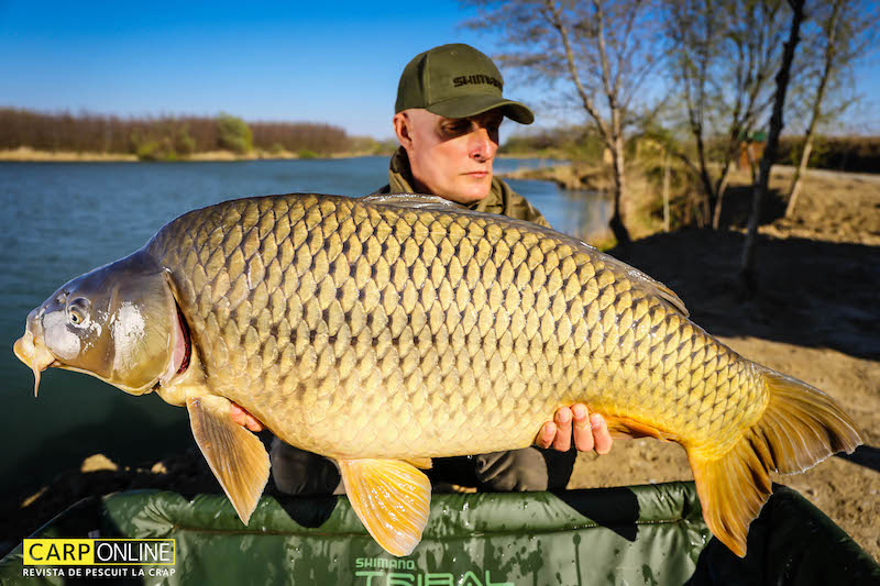 Vlad Pavlovici - 21kg, stand B13-2.jpg