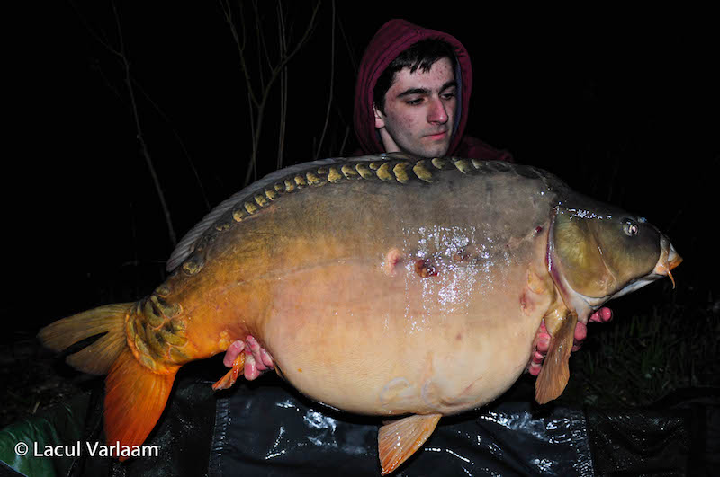 Stefan Creasta - 22,8kg, stand B14.jpg