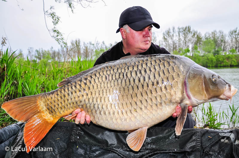 Radu Suhan - 21,4kg, stand A6.jpg