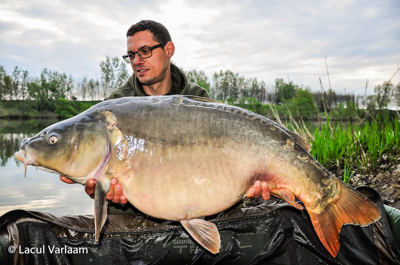 Mircea Faur - 20,2kg, stand A2.jpg