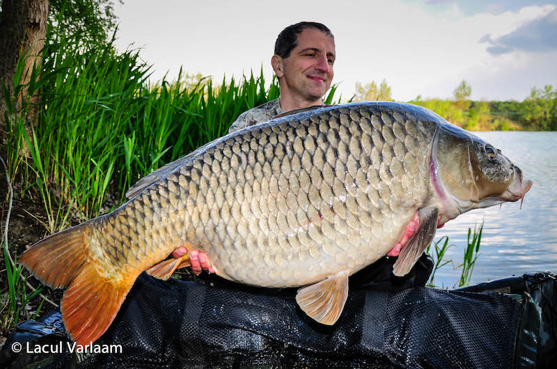Victor Costache - 21,2kg, stand A7.jpg