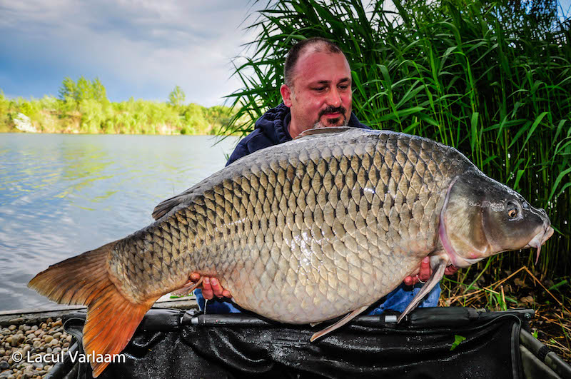 Stefan Dumitru - 26,8kg, stand A6.jpg