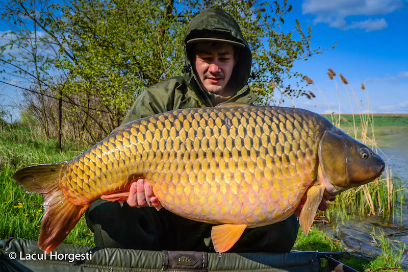 Marius Chiper - 20kg.jpg