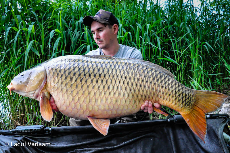 Gabi Paun - 21,5kg, stand A6.jpg