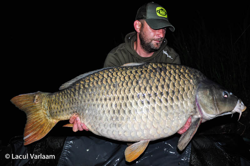 Mihai Prodan - 21,6kg, stand A2.jpg