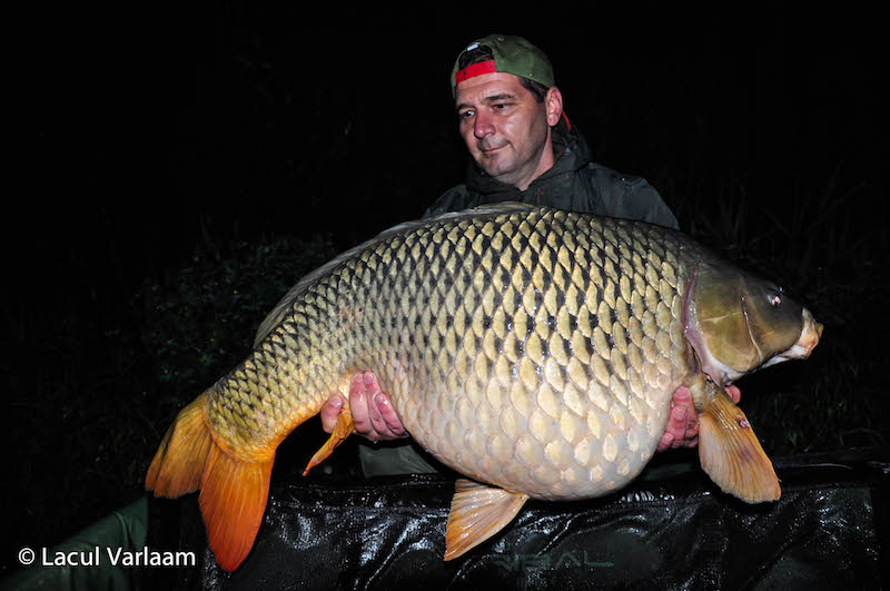 Laurentiu Ochiulet - 21,7kg, stand B7.jpg