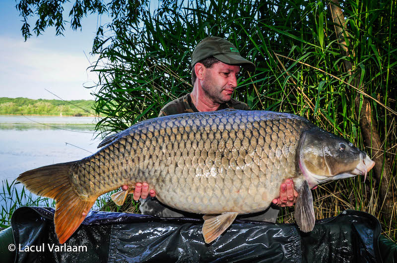 Cristian Constantin - 21,8kg, stand A10.jpg