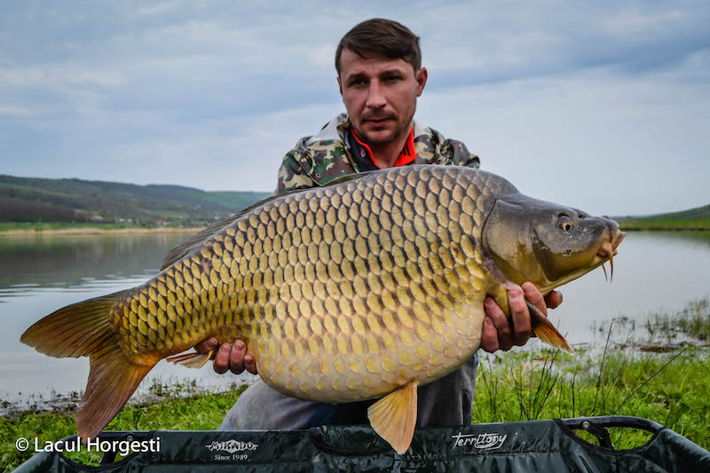 Adrian Olteanu - 16kg.jpg