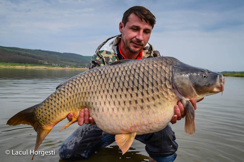 Adrian Olteanu - 17kg.jpg