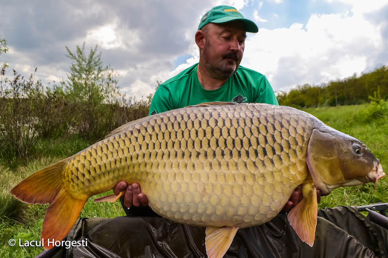 Costel Ghelase - 20,4kg.jpg