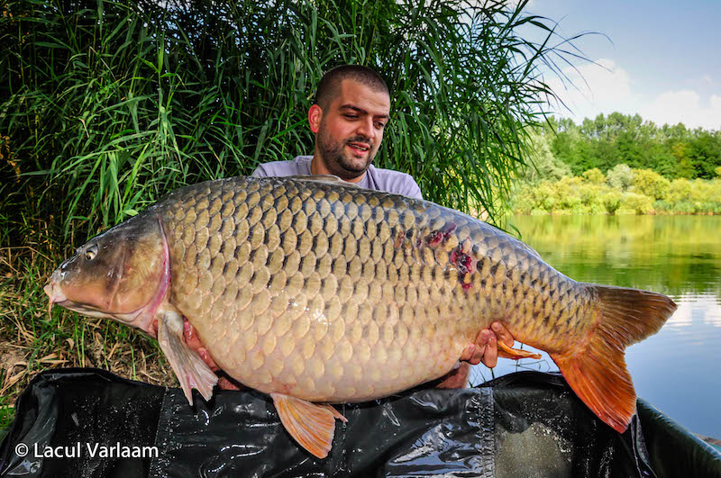 Dragos Bordei - 30kg, stand A4.jpg