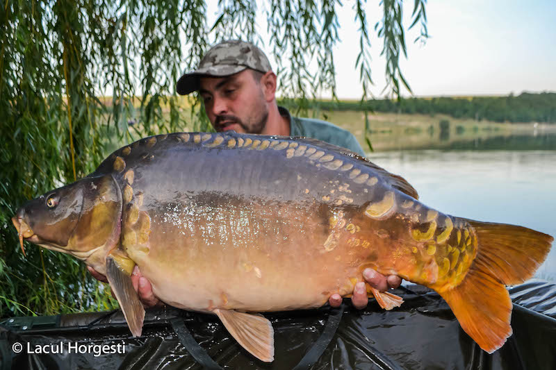 Cosmin Murea - 16,7 kg.jpg