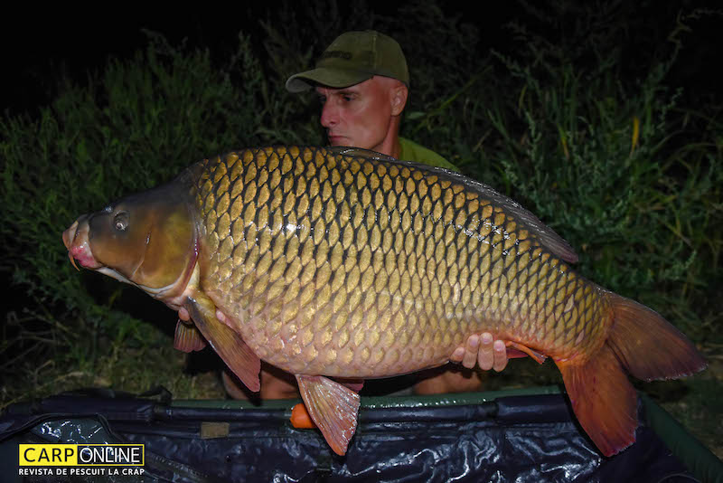 Vlad Pavlovici - 21,5kg, stand B13.jpg