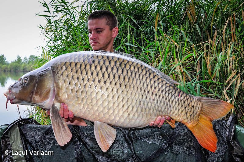 Florin Potcoveanu - 20,4kg, stand A9.jpg